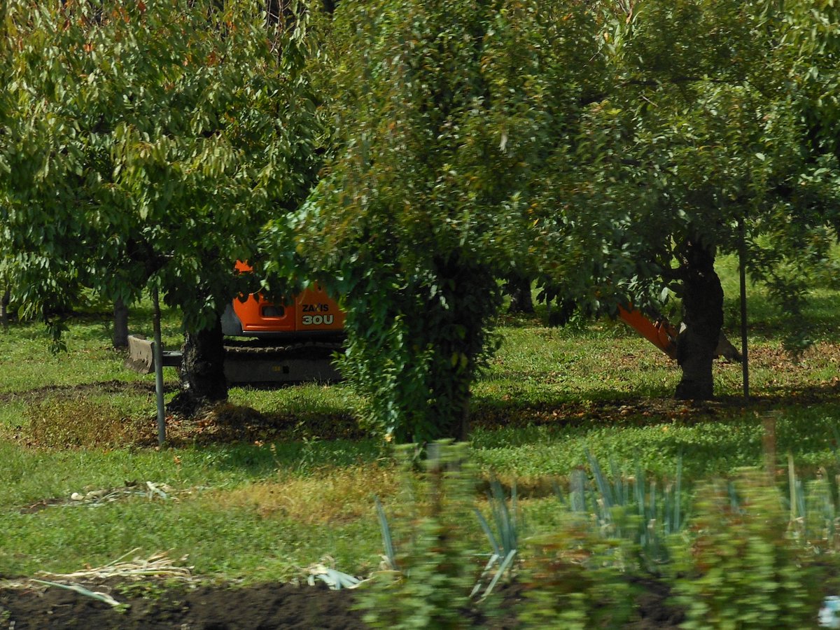 Post by ルーク on X: 日立 ZX30U