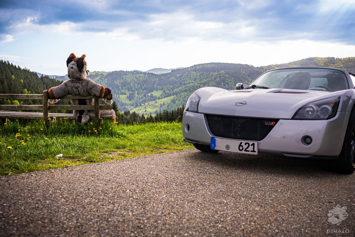 Dinalo Pasha Kurkov❣️🦊 🔜 ? tweet media