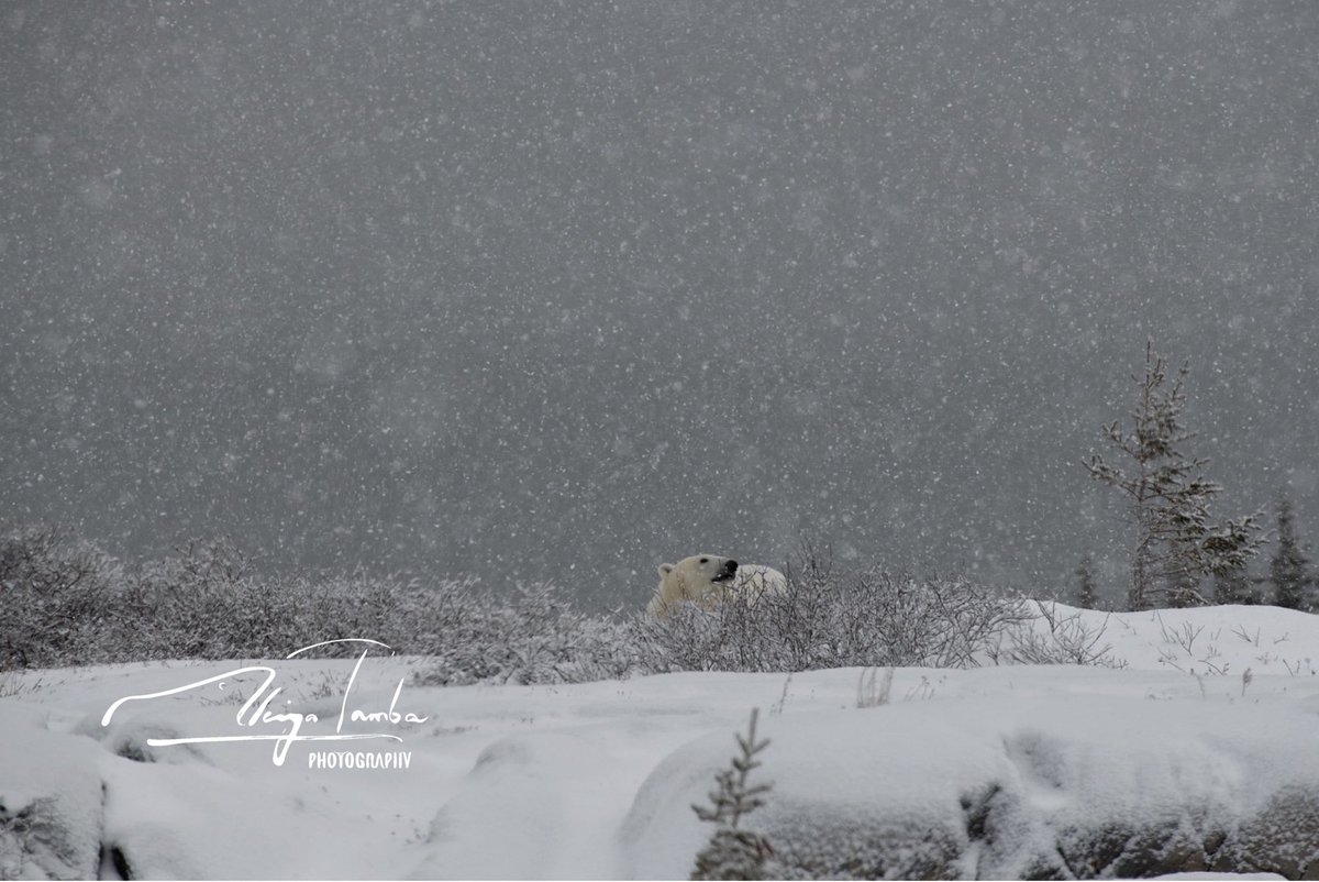 Post by 丹葉暁弥 / photographer on X: feeling…