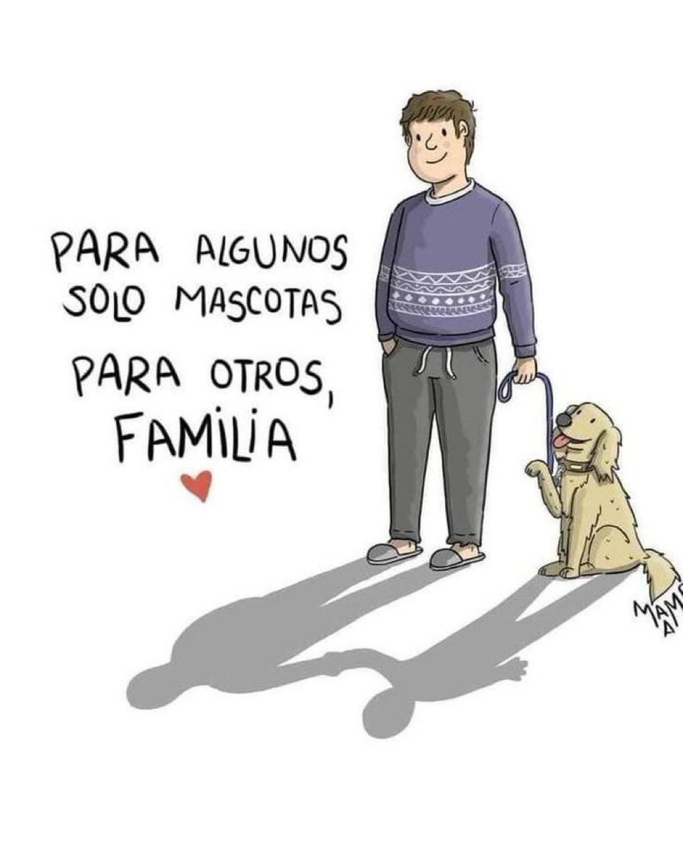 𝗻𝗼𝘁𝗮𝘀𝗳𝗮𝘃 (@notasfav) on Twitter photo 