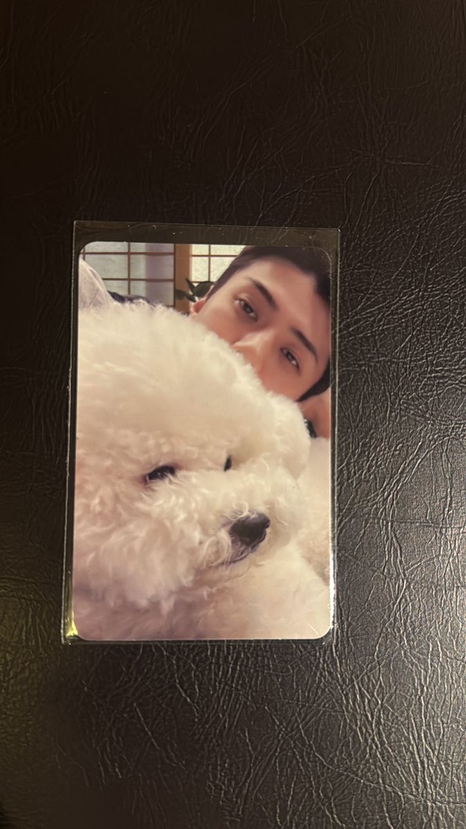 songyong_eomma's tweet image. WTS pc sehun with vivi, dm for price!! #zonauang #sehunexo #exoL #pckpop