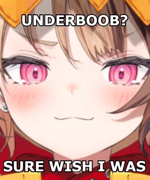 VTuber Memes (@vtubermemes) on Twitter photo 