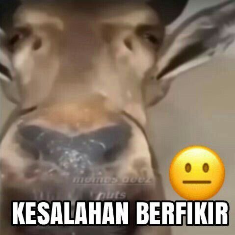 jelagateduh's tweet image. Gak…. Salah.