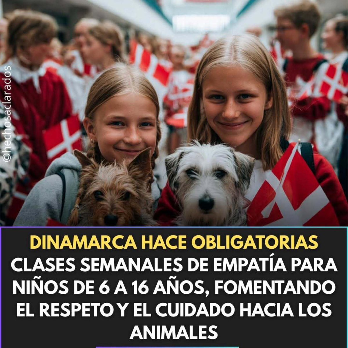 PartidoPACMA's tweet image. 🇩🇰¡Bravo por Dinamarca!

👦Los niños y niñas daneses recibirán una clase semanal de empatía donde se les instruirá en el respeto y el cuidado de los animales. ¡Todo un ejemplo a seguir!

💚Desde PACMA apoyamos esta iniciativa, esperando que se replique en nuestro país. ¡Cuidemos…