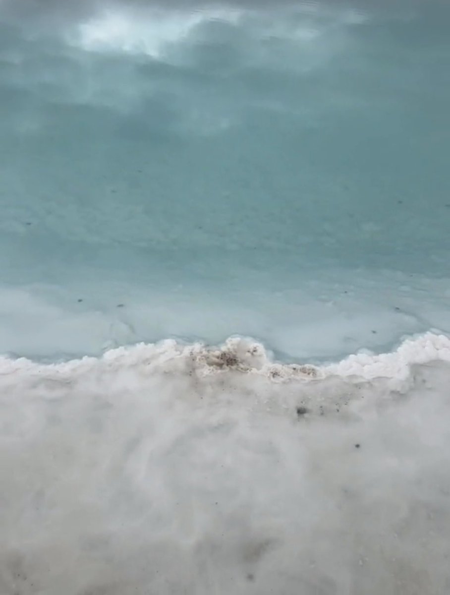 fflannd's tweet image. 青海
#男娘 #femboy #sissy