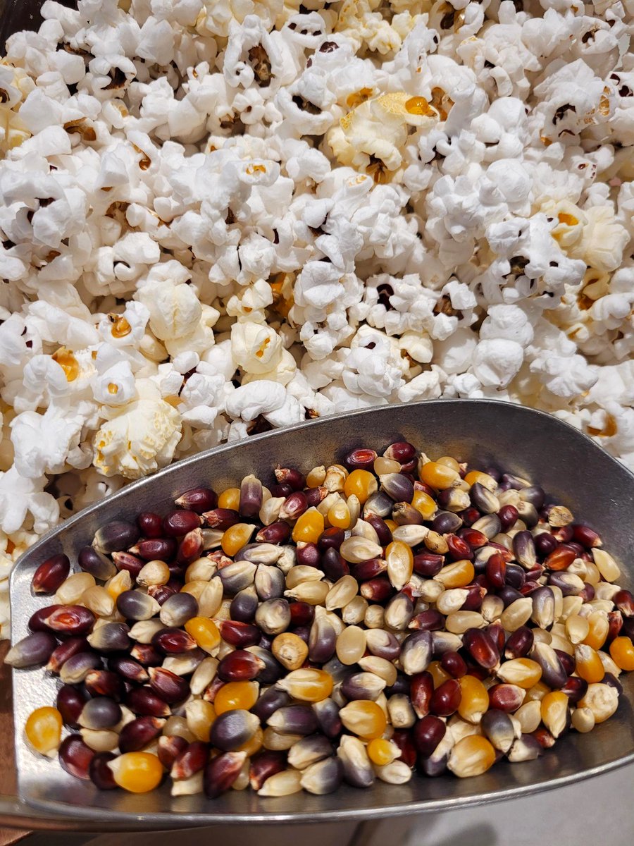 IncKitchen's tweet photo. We now offer locally grown popping corn! Have you tried our Rainbow Popcorn? This unique snack features kernels in different shades of yellow and white. The seasonings we use are crafted by Earidale Meats in Floradale and are 100% gluten-free! https://t.co/5QB2wrjsIw