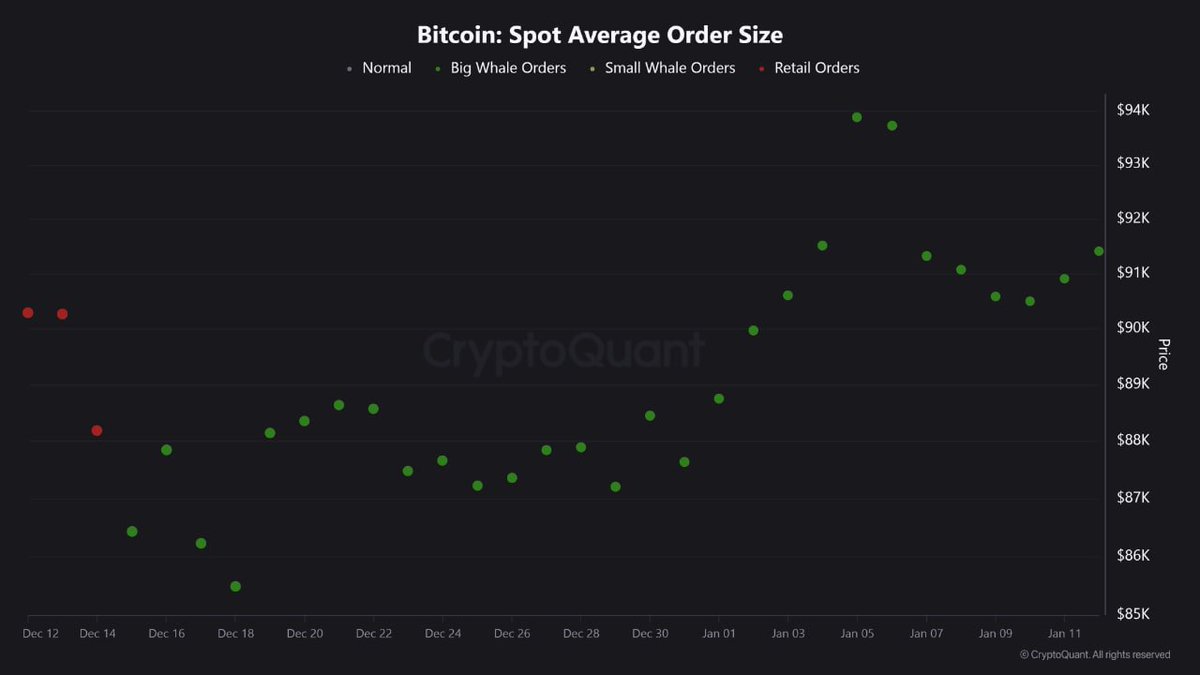 BTC 고래 주도 랠리, 강세 모멘텀 형성 신호” 이번 분석은 현물 주문 행동, 선물 시장가 흐름, 펀딩비율을 종합해 비트코인의 현재  시장 구조와 단기 전망을 점검한 것입니다. 핵심은 고래 매집과 강세 심리가 가격