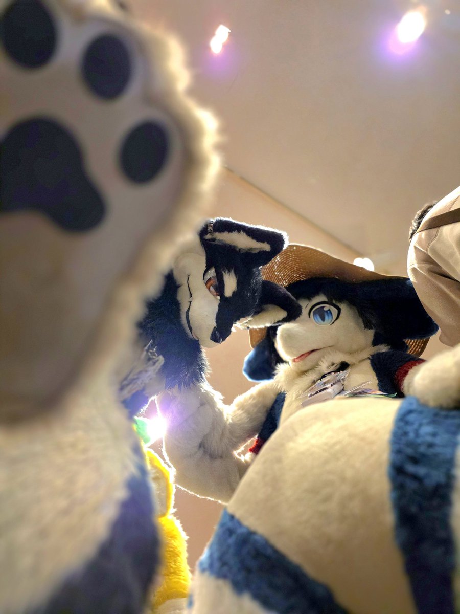 #JMoF2026