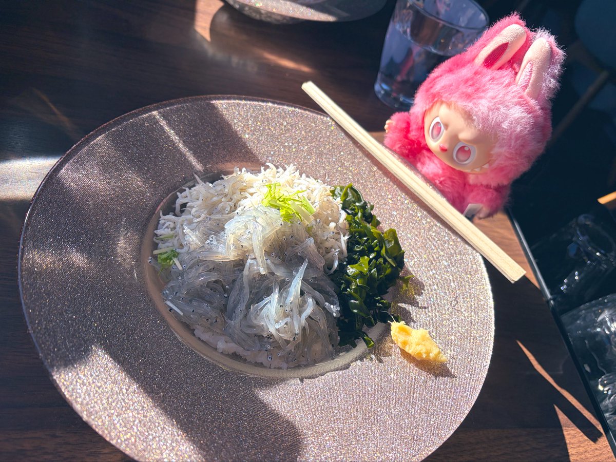 IDEAL__LOVE's tweet image. 鎌倉で生しらすたべたんだけど、江の島来たら禁漁でなくて、え？違法生しらす！？って思ってしんやさんにきいたら冷凍だと思うよって。合法でよかったです。