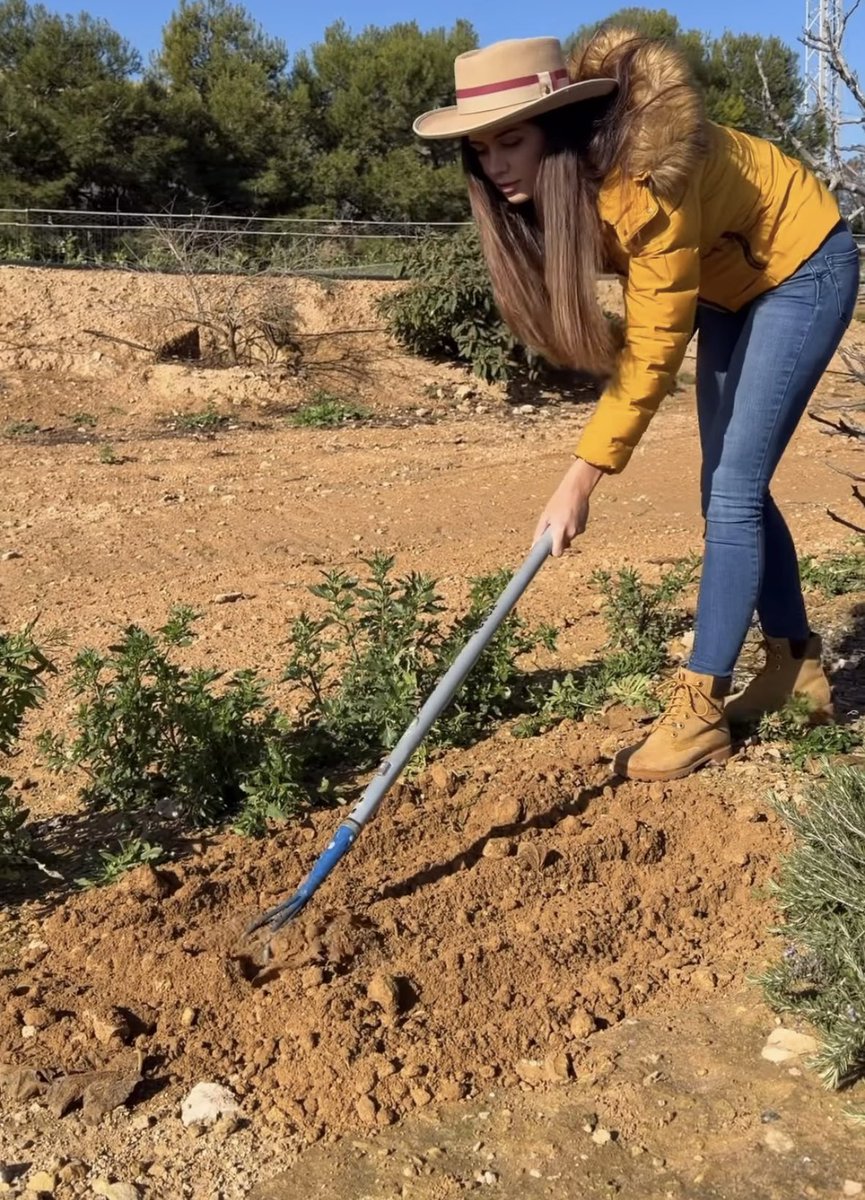 tonghazo's tweet image. Seguimos desbloqueando facetas, hoy toca Barbie jardinera 👩🏻‍🌾🌱 #Maiquistas12E