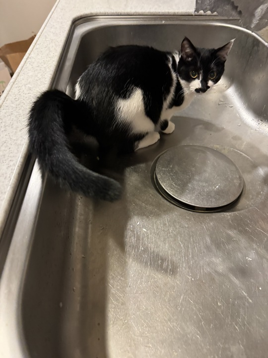 a03🌗痩せろ (@a03) / Posts / X