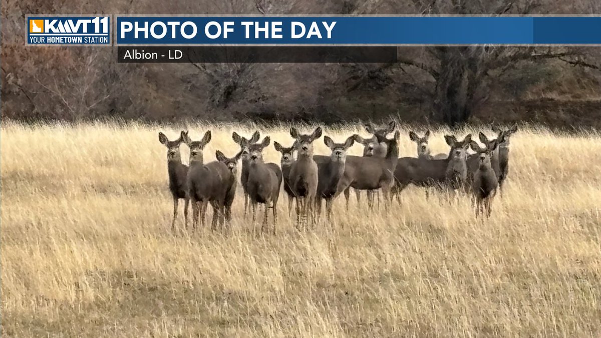 FanWeatherKMVT's tweet image. Here is the Photo of the Day for today in Albion from LD. If you have a photo you would like us to see and possibly use on the air, text us at 208-358-9024. For more info, go to kmvt.com/weather .