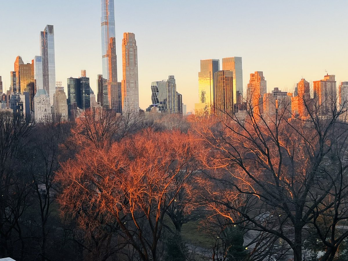 Cedrik Fouriscot tweet media