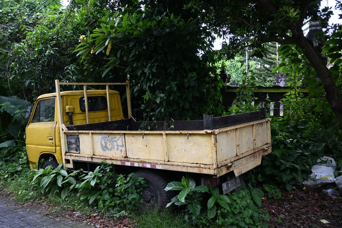 果音（かんちゃん） tweet media