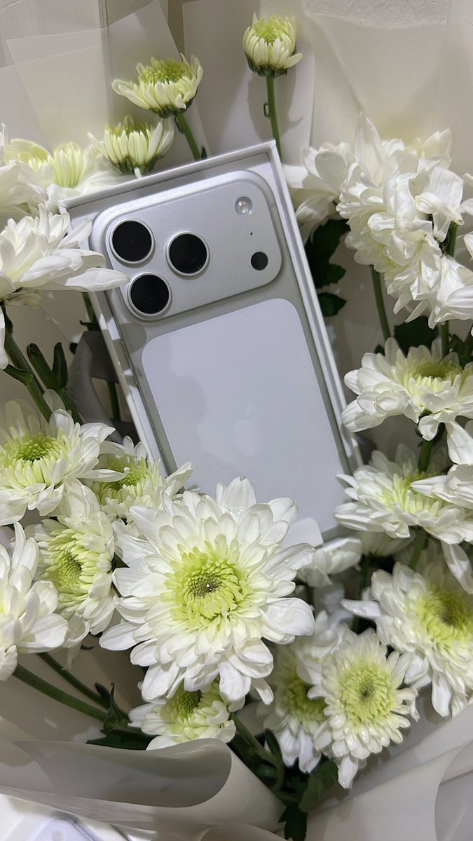 pvtnajm's tweet image. « اول عطايا الله في 2026 »