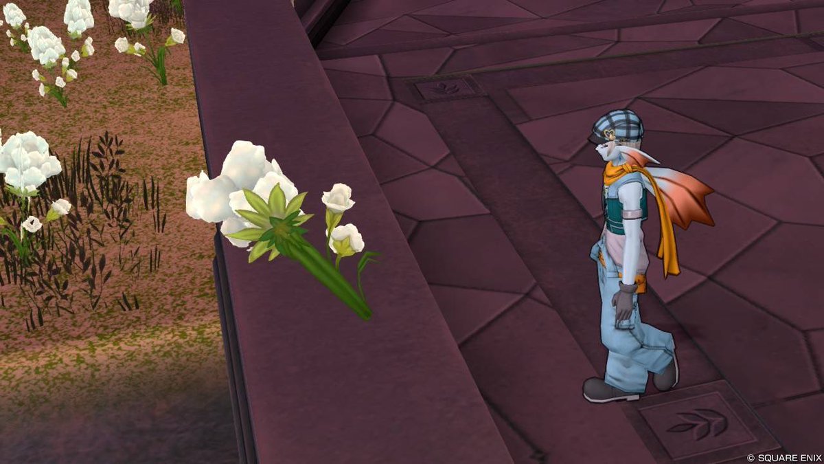 4.5でメレアーデが身につける花のリストレットとマローネさんの髪飾りの花は同じものなのでは？と調べ物をしていたら、ある方のブログでパドレア邸の献花が4.5クリアで2本に増えるという件を知りました。知らなかったなぁ。それぞれどういう意味があるか。実に味わい深い。ドラクエ10味わい尽くせぬ。