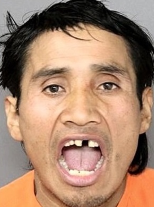 Illegal Alien Crimes tweet media