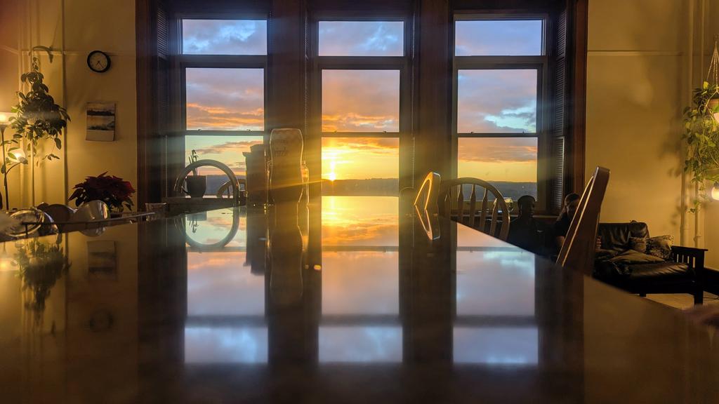 Norann Voll tweet media