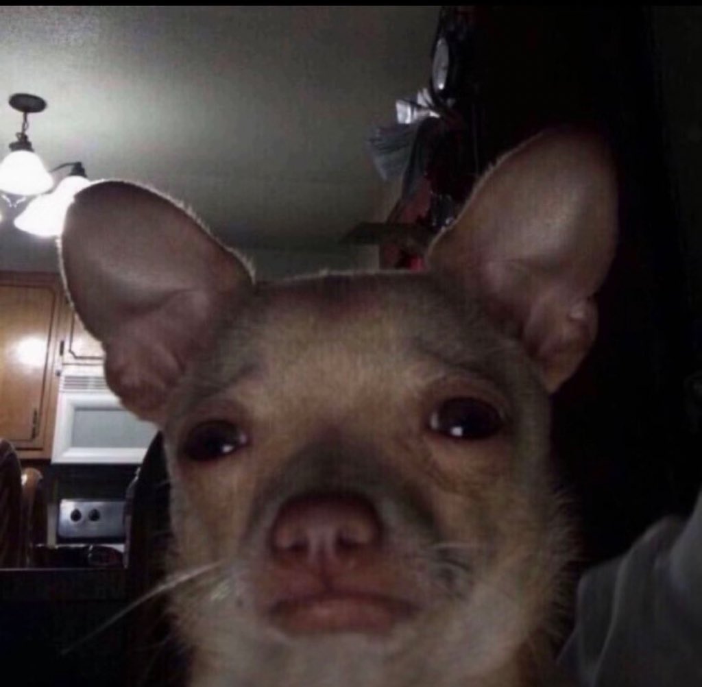 Richy. ⭐️ tweet media