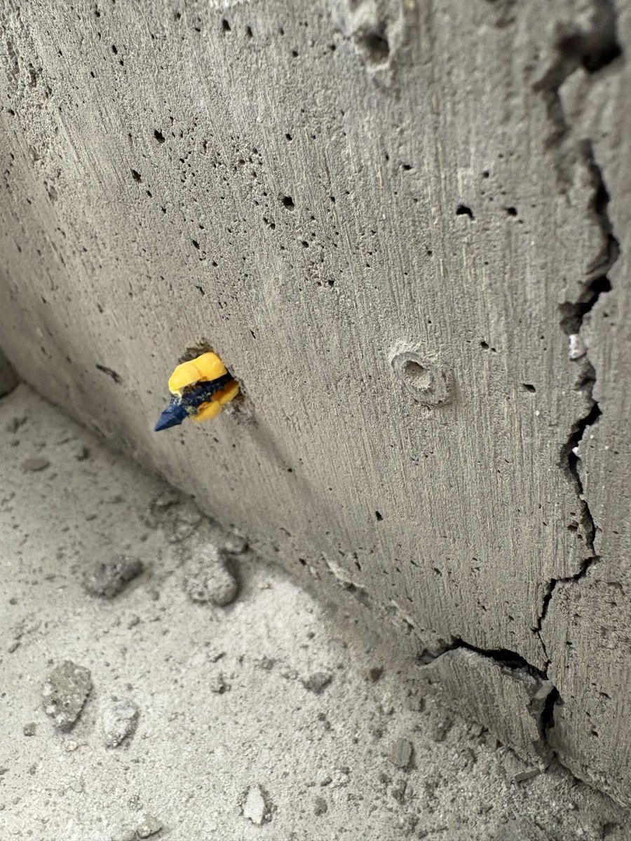 BHS_tradesclass tweet media