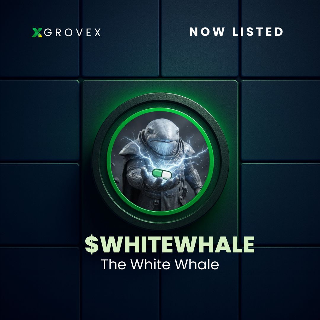 GroveXchange's tweet image. ✅ Now Listed: @WhiteWhaleMeme ($WHITEWHALE) on GroveX! ✅

Token: $WHITEWHALE/USDT
Chain: Solana

✅ Deposits and withdrawals are now available.

🔗 Trade Now: grovex.io/en_US/trade/WH…

#WHITEWHALE #Solana #Crypto #GroveX #Blockchain #Web3