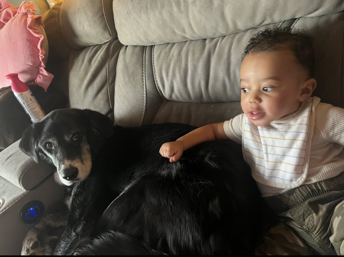 brookberinger's tweet image. 