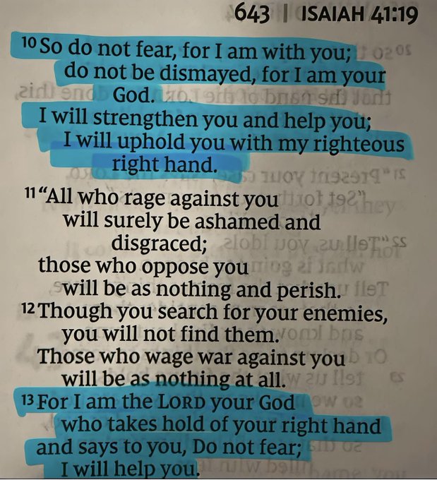 Bible 365 tweet media