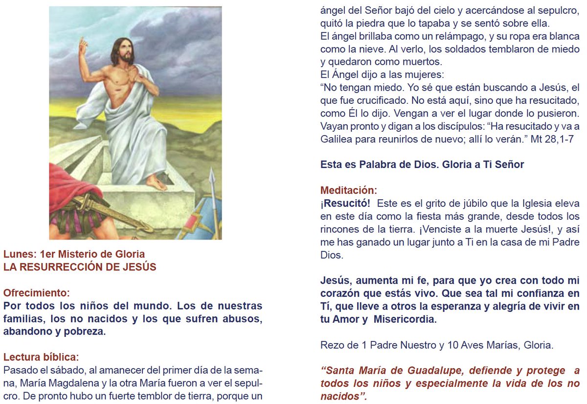 ElSanto_Rosario's tweet image. Primer Misterio de Gloria: La ascensión de Jesús a El Cielo. Ofrecemos esta oración por todos los niños del mundo y por las peticiones de cada uno de ustedes: