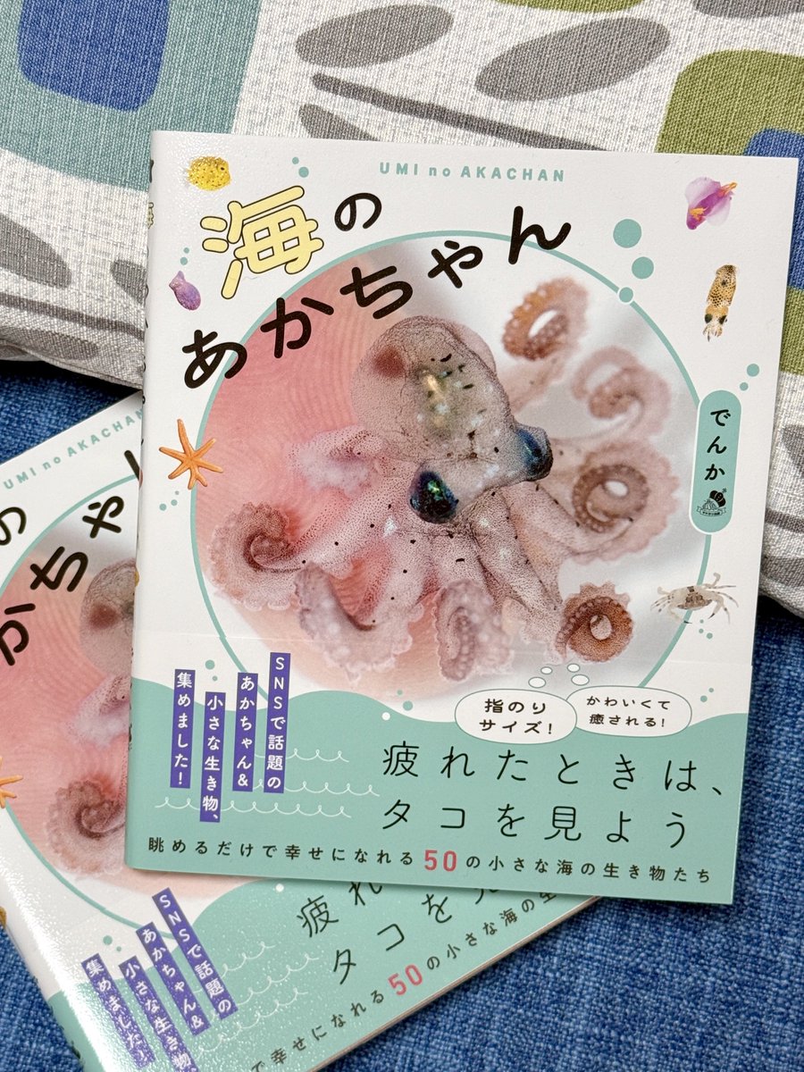 スーちゃん ソトゥミサ放送局 ｜ Z/X - Zillions of enemy X - ゼクス公式サイト