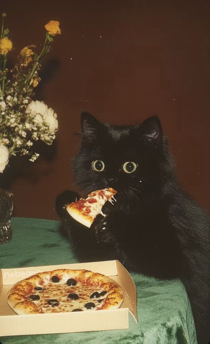 الكندي tweet media