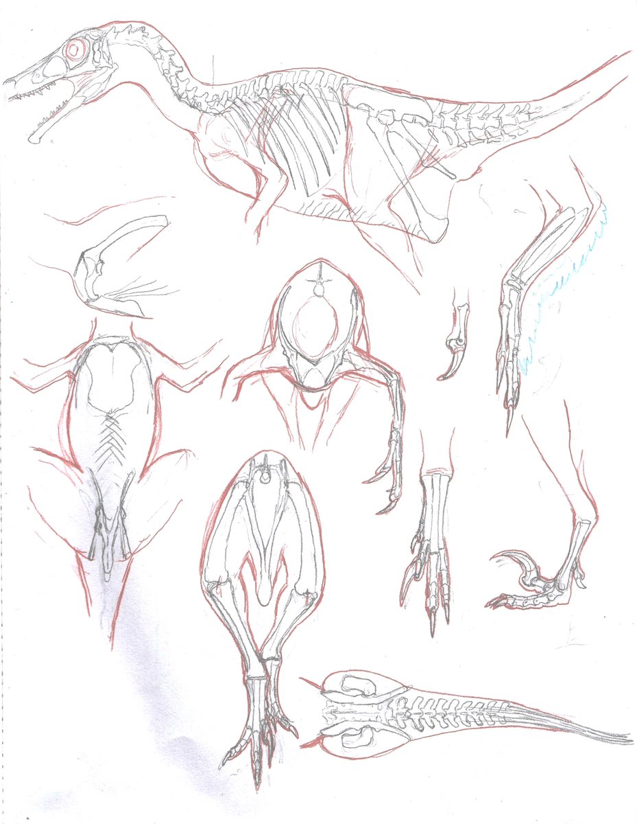 ASA様•*¨*•.¸♬︎専用ページ カワサキ Ninja ZX－14R ABS 外装YFデザインカスタム