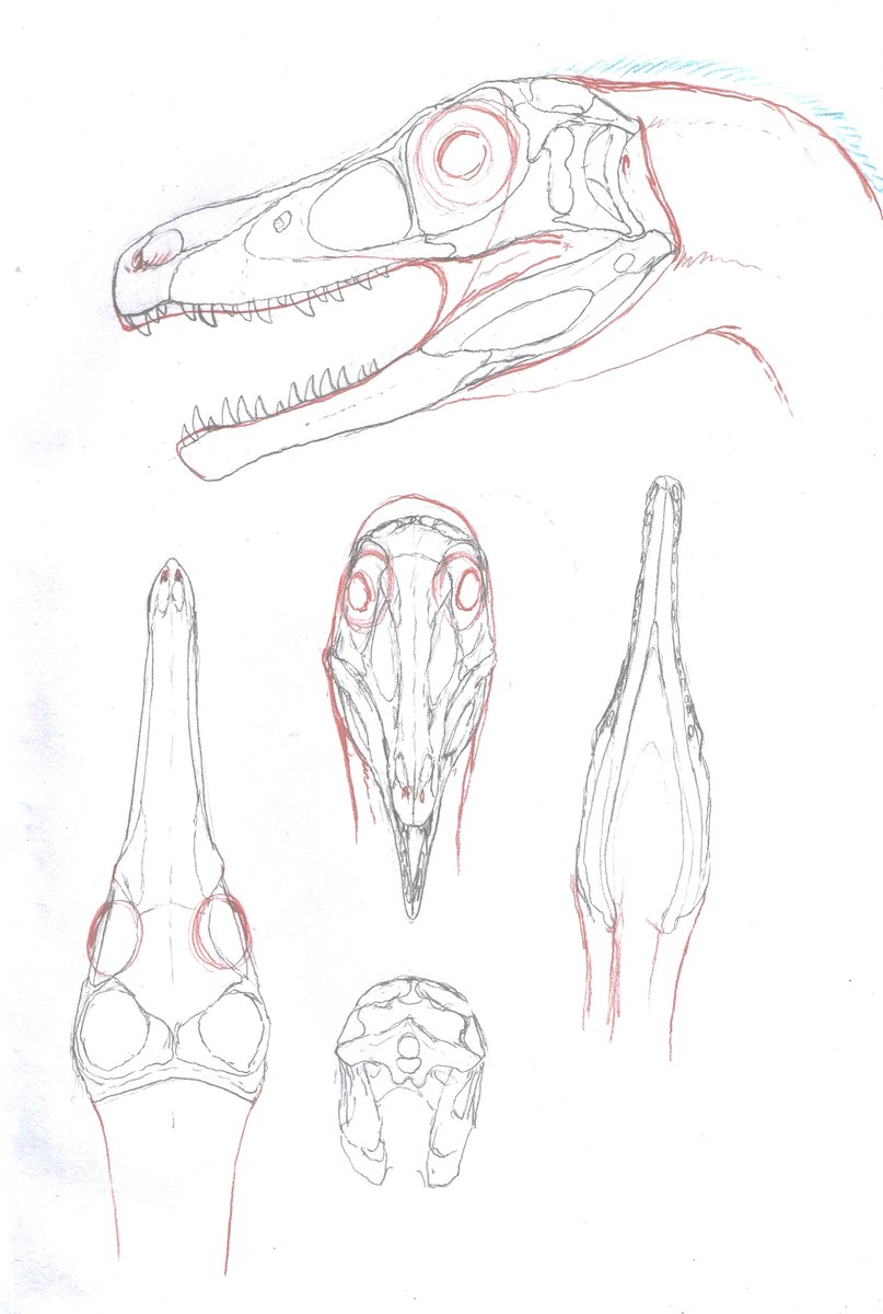 ASA様•*¨*•.¸♬︎専用ページ カワサキ Ninja ZX－14R ABS 外装YFデザインカスタム