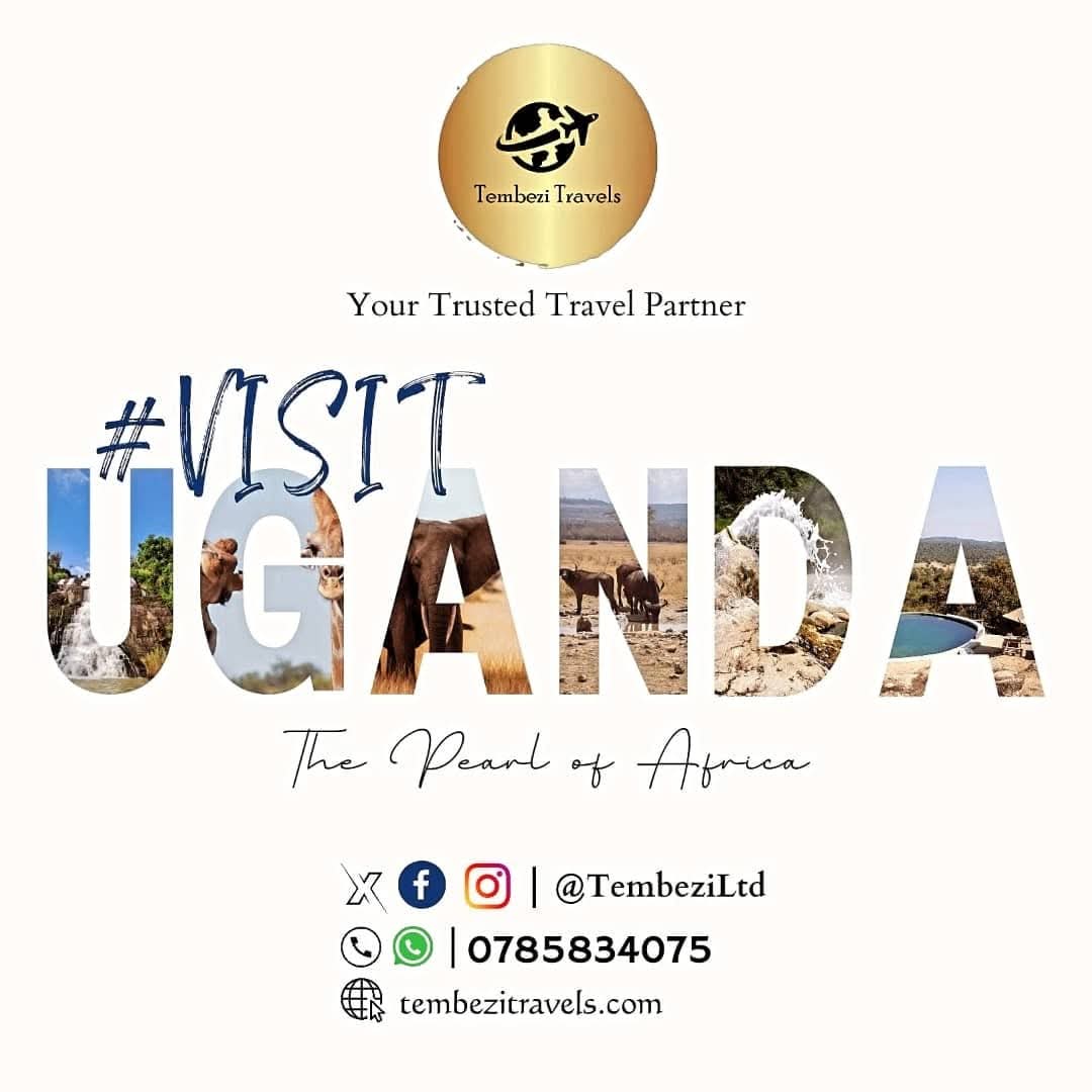 Tembezi Travels tweet media