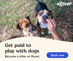 R U going on a trip or vacation and can't take your pets? Instead of boarding them hire a professional pet sitter so your pets can stay un-stressed in your home. We teamed up with Rover tp help you. Oh  and since you love animals, maybe you would like to join their team and get