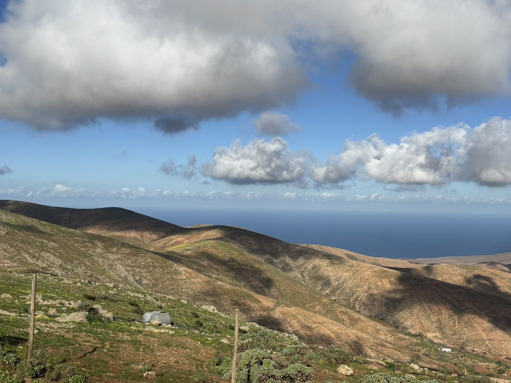 Saija (@saijalancaster) on Twitter photo 