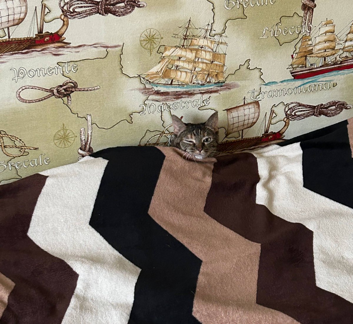 This is exactly how I look after all the holidays 🐱Maximum blanket mode activated, zero energy left.

P.S. The cat's name is Pukka — she's the true recovery expert here. 

How are you surviving the post-holiday crash?