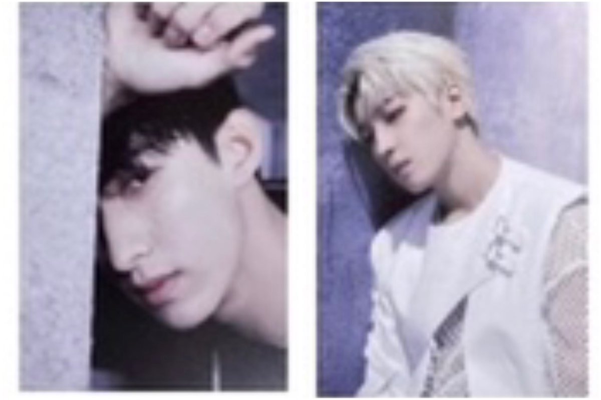 🍚🤍 tweet media