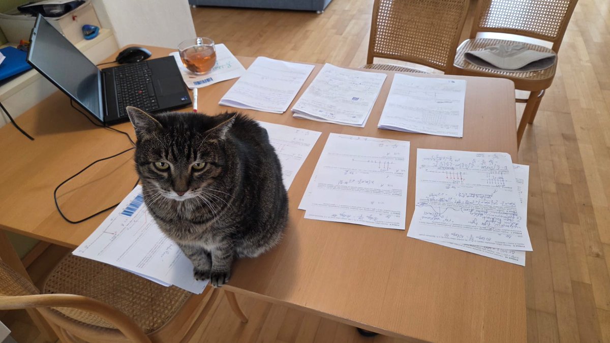 BUT Speech tweet media