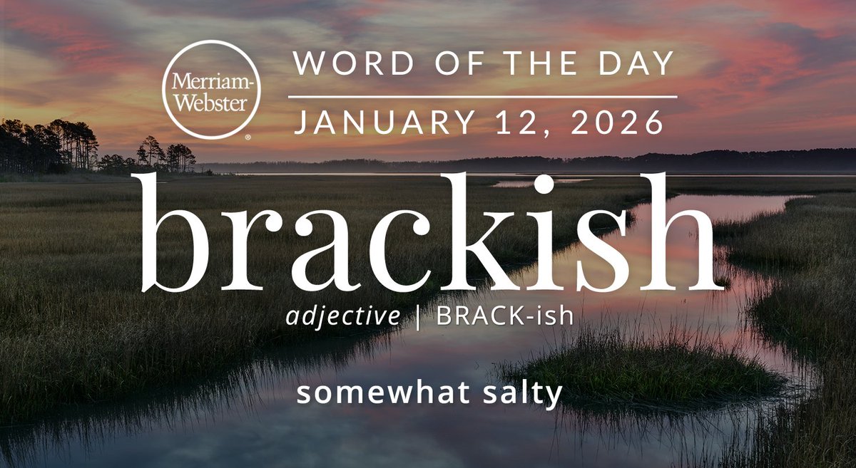 Merriam-Webster tweet media