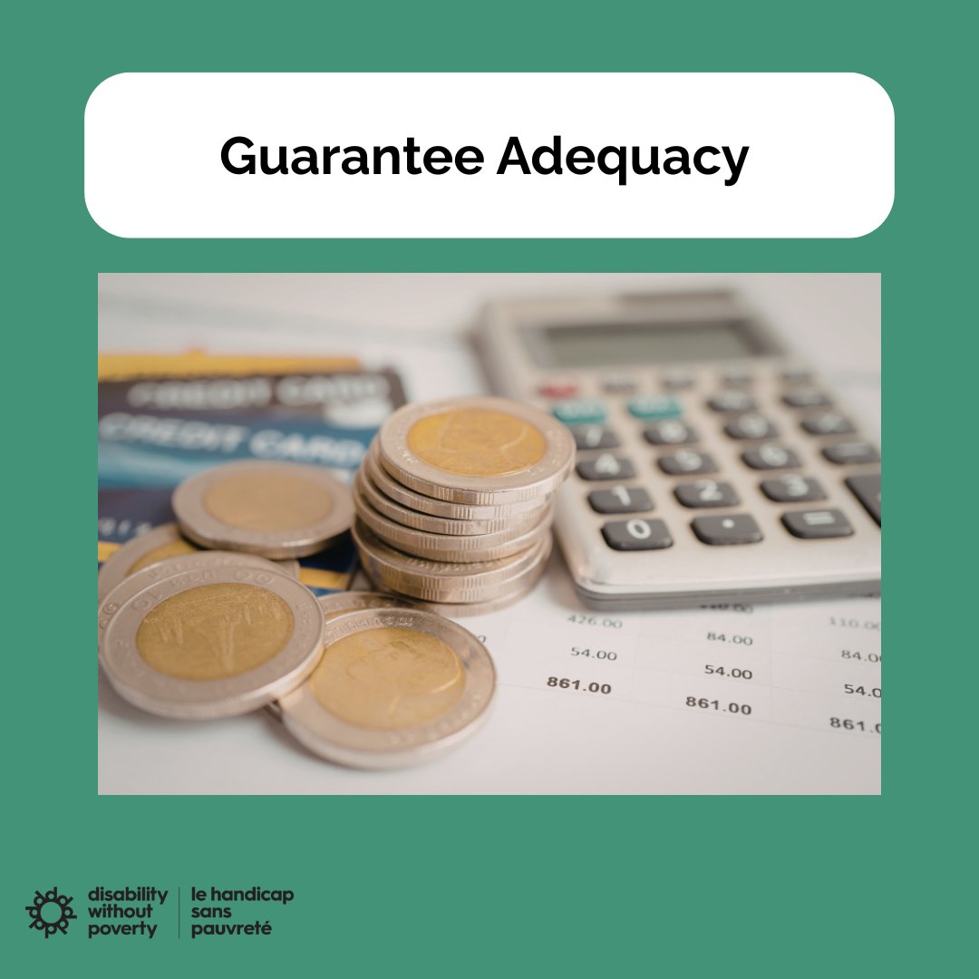 Disability Without Poverty tweet media