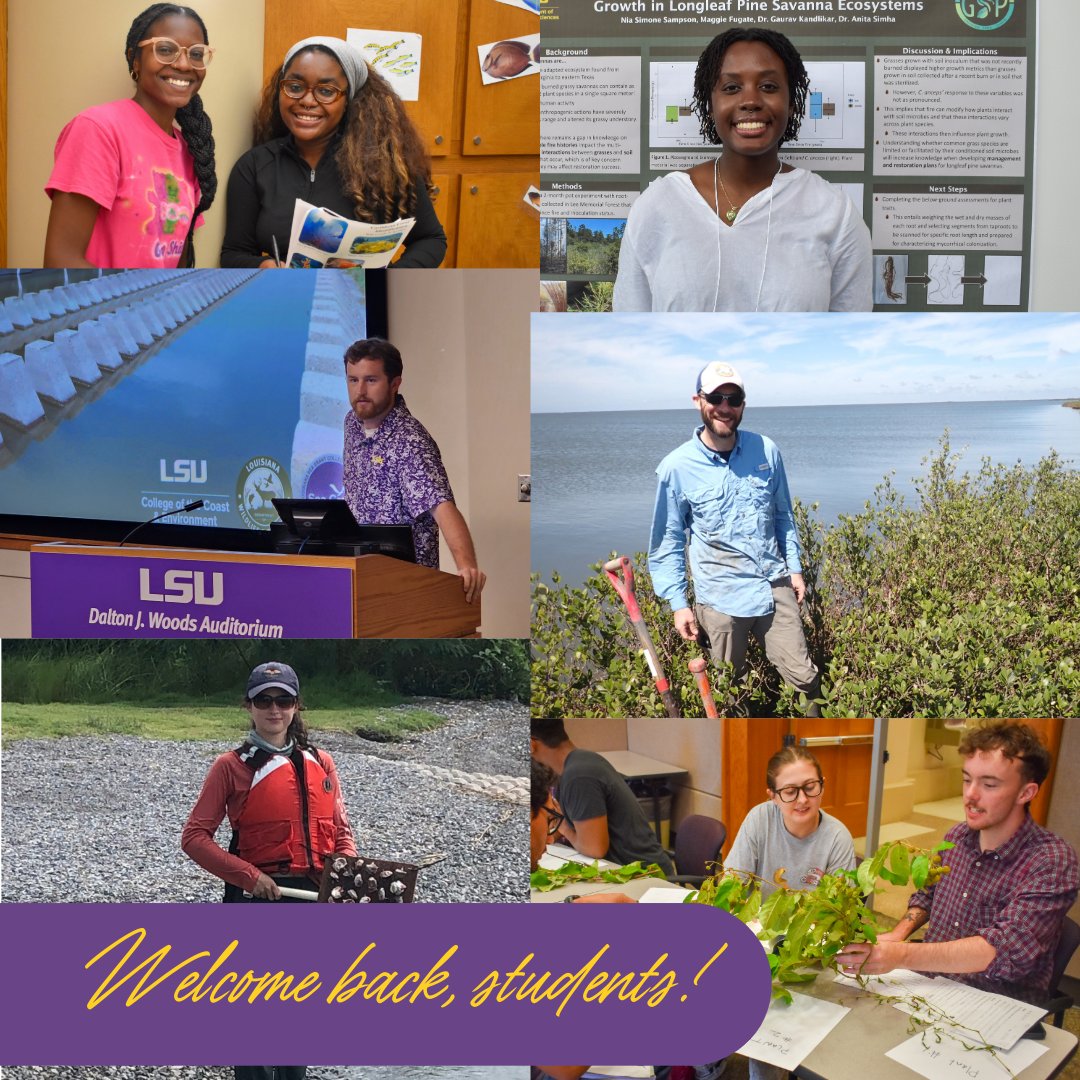 LSU College of the Coast & Environment tweet media