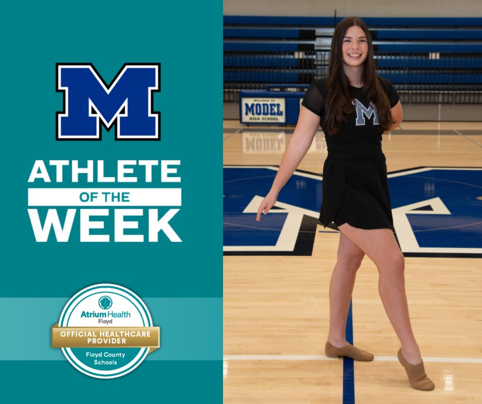 Model High School tweet media