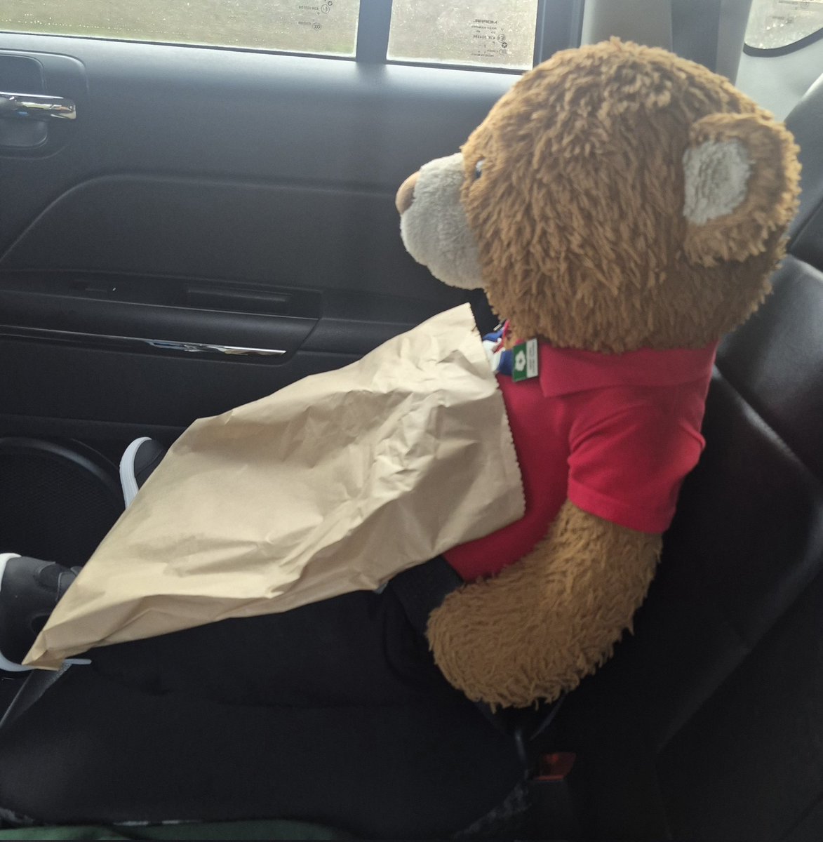 BDMed_Bear's tweet image. One of my very favourite shops is @colemans_of_oundle which is a proper #oldfashioned type #stationery shop! Today I just needed some notebooks and pens. #bearswithjobs #shoppinghaul #MentalHealthMatters #MondayMotivation