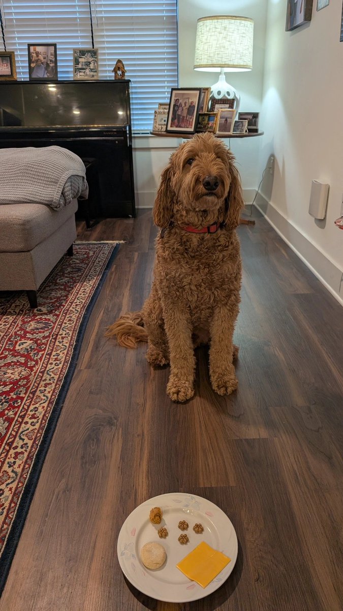 David Britt tweet media