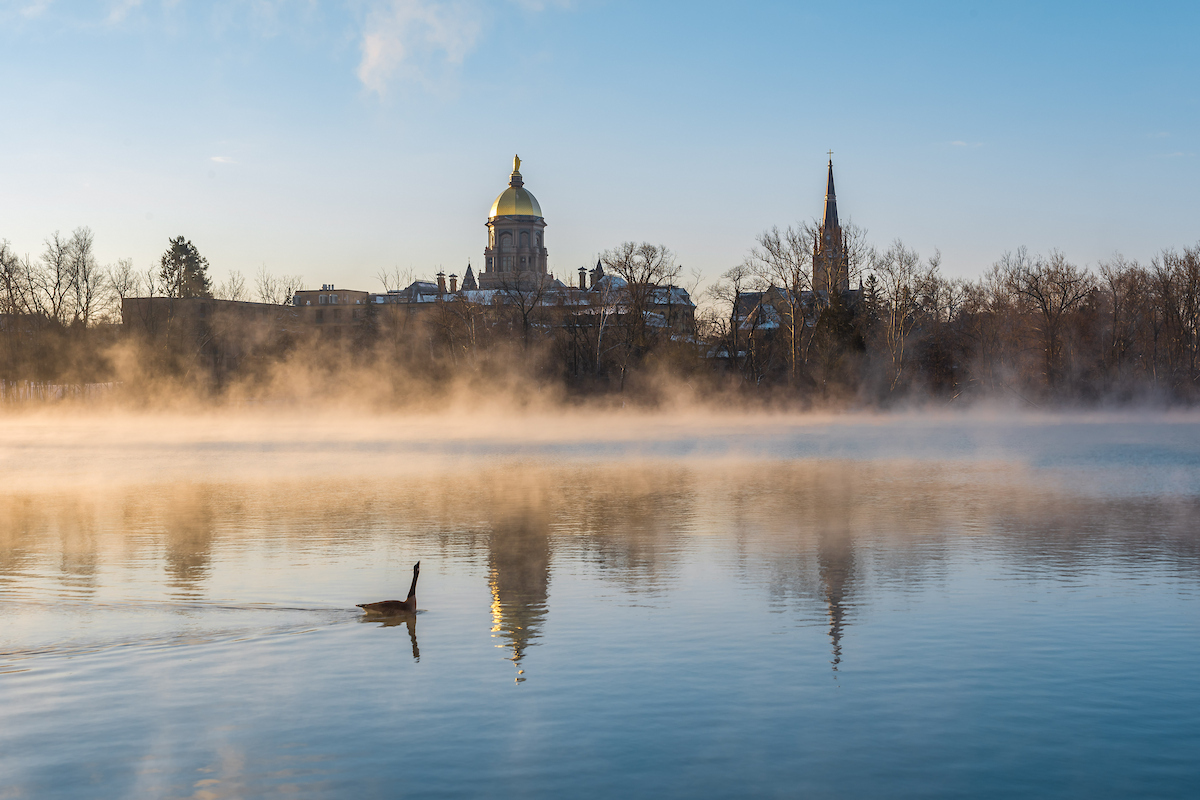 University of Notre Dame tweet media