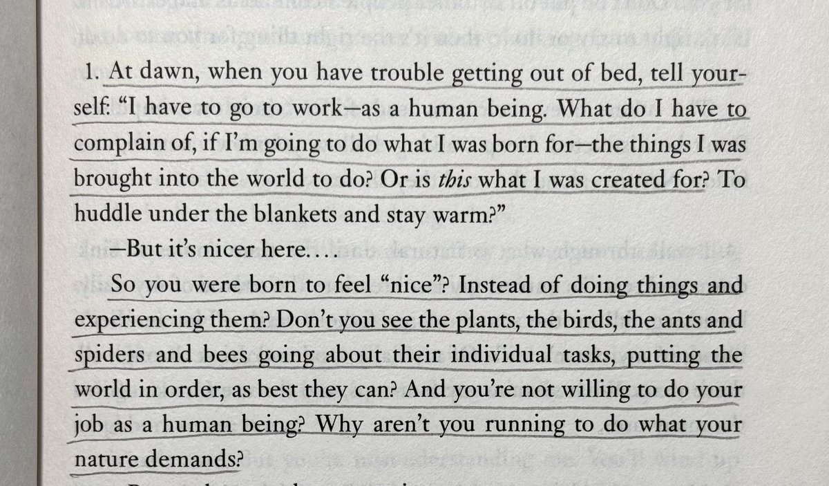 The most powerful passage from Meditations by Marcus Aurelius: