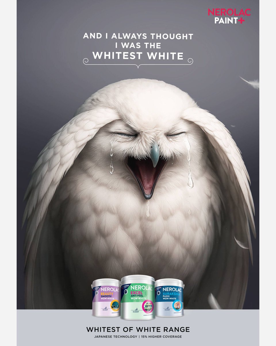 Rediffusion tweet media