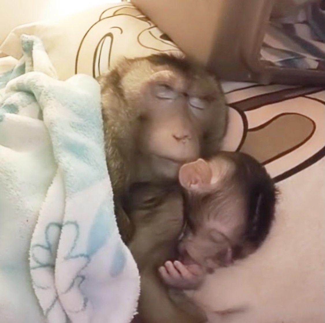 구글 흔적을 남겨 흐르게 하다(TG:e10838).xiw