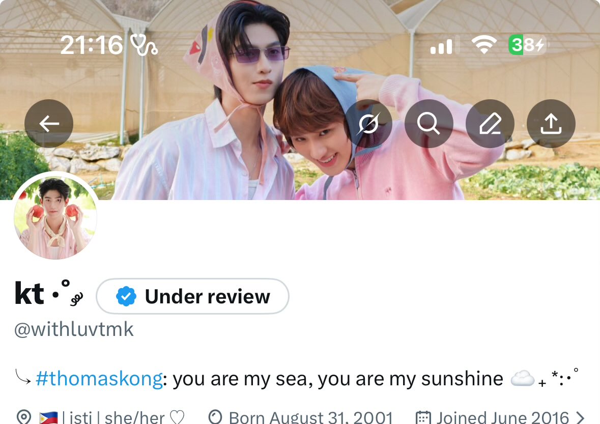 new layout 🌷🎀🍃☁️