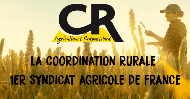 Un syndicat agricole qui trahit la France.
Porter cet insigne et ce bonnet, c’est porter la honte.
Agriculteurs, paysans : désolidarisez-vous.
Bertrand Venteau, collabo → démission. 🗡️🤝💔
Trahison nationale.